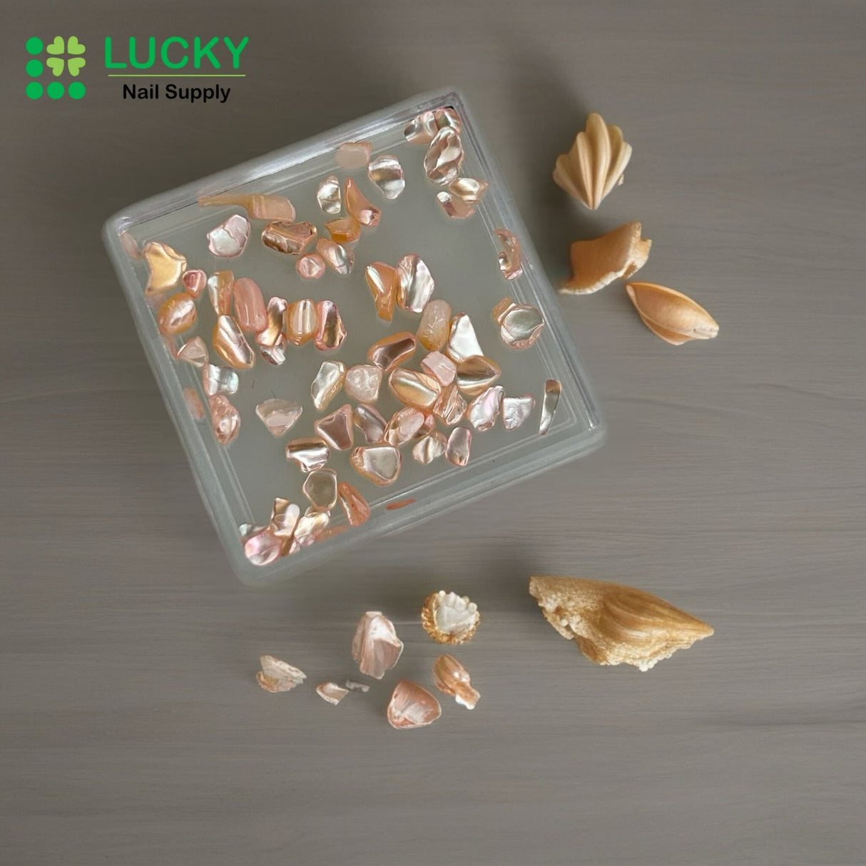 NAIL CHARM | SHELL FRAGMENT