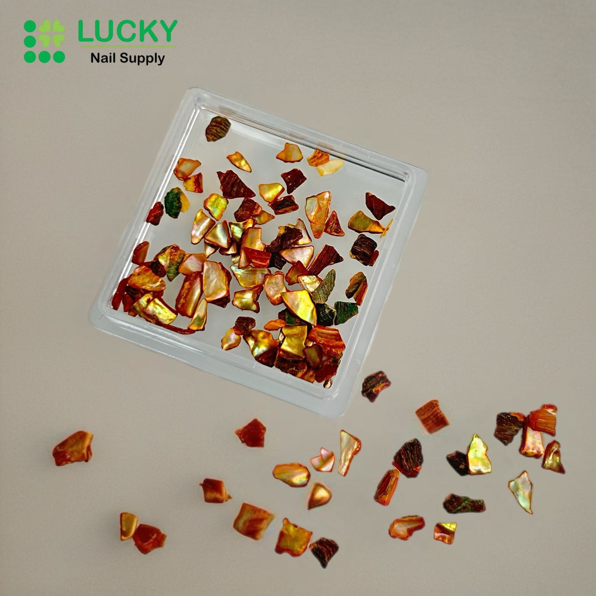 NAIL CHARM | SHELL FRAGMENT