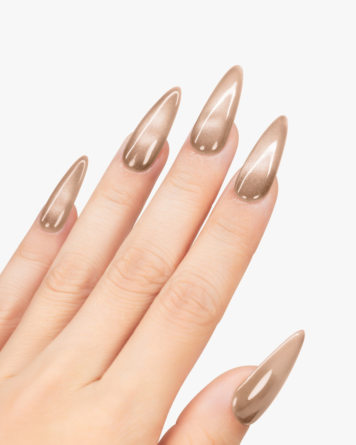 PLA | CAT EYE COLLECTION - BIG MOOD RISING