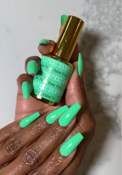 DND | DC 2537 PALM TREE