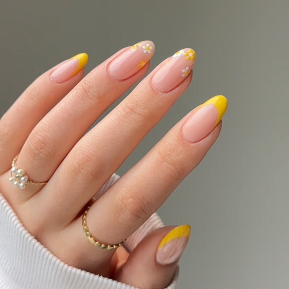 DND | DC 2516 SUN REBELS