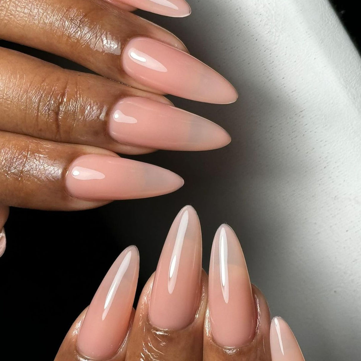 DND | 866 SOFT TULIPS