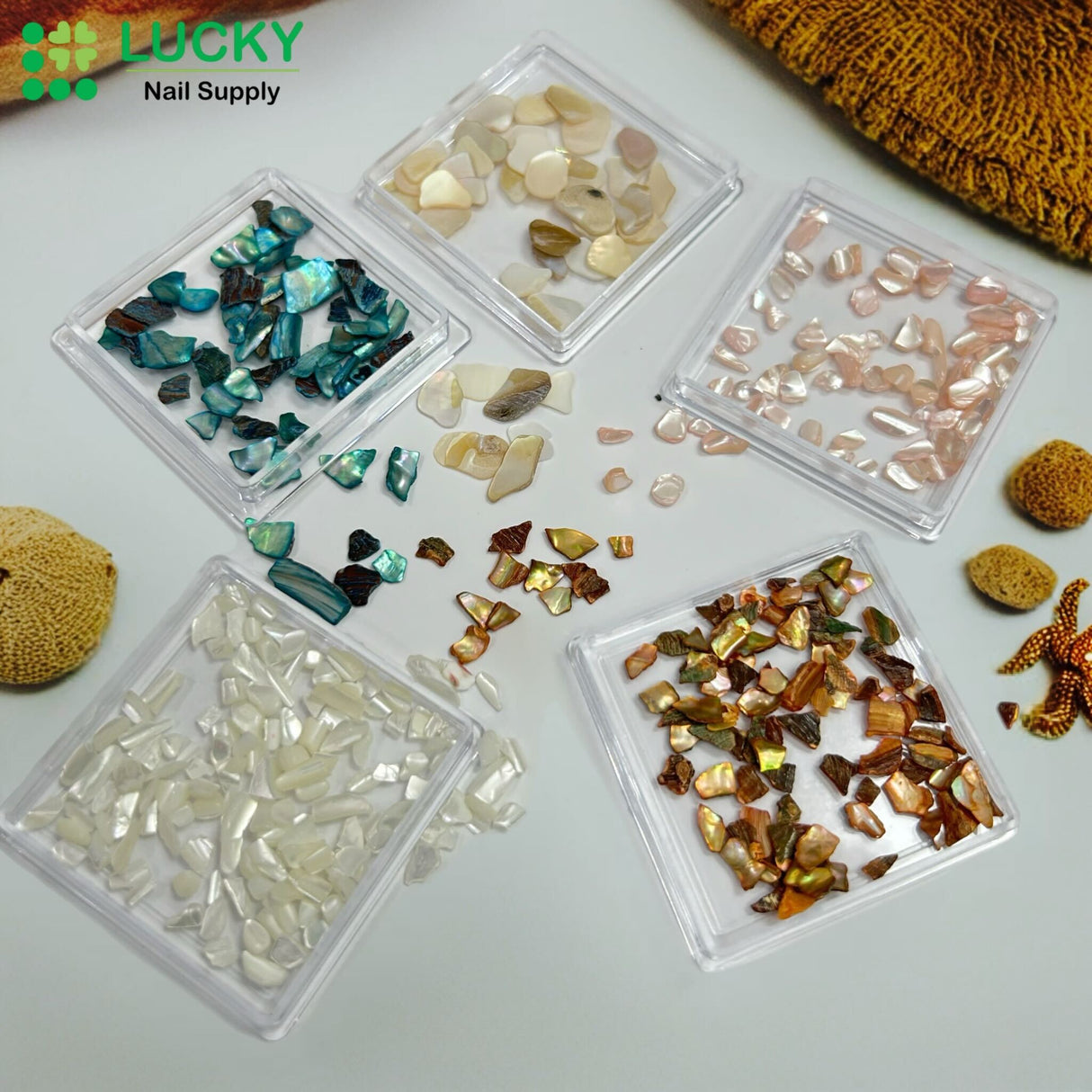 NAIL CHARM | SHELL FRAGMENT