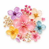 Dry Flowers