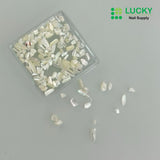 NAIL CHARM | SHELL FRAGMENT