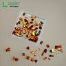 NAIL CHARM | SHELL FRAGMENT