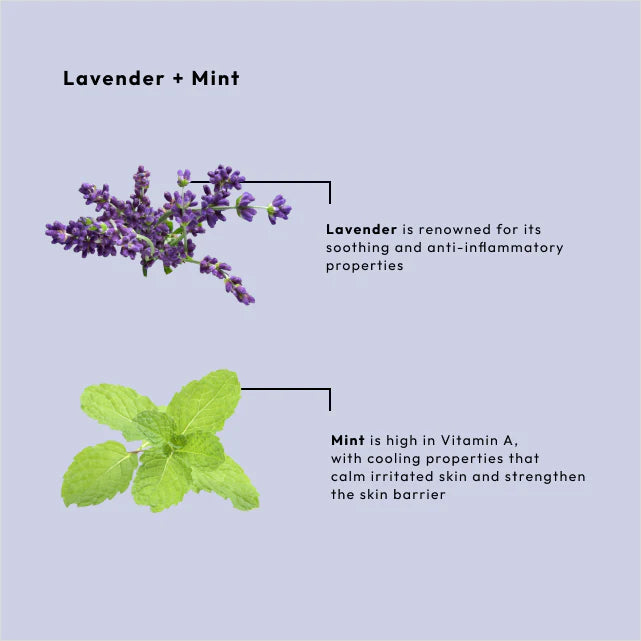 BCL SPA Lavender + Mint Moisture Mask