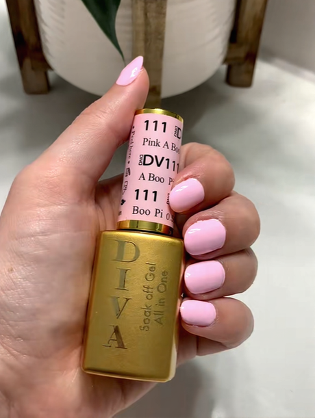 DND | DIVA 111