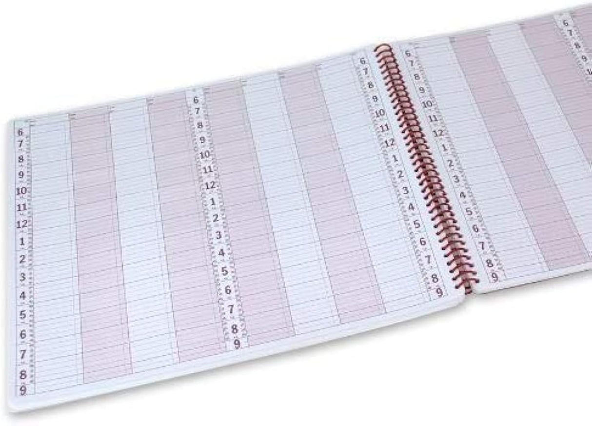 APPOINTMENT BOOK | IONICA 8 COLUMN  (300 PAGE)