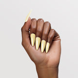 Chaun Legend LG5041 - Fia-Get-Me-Not color swatch