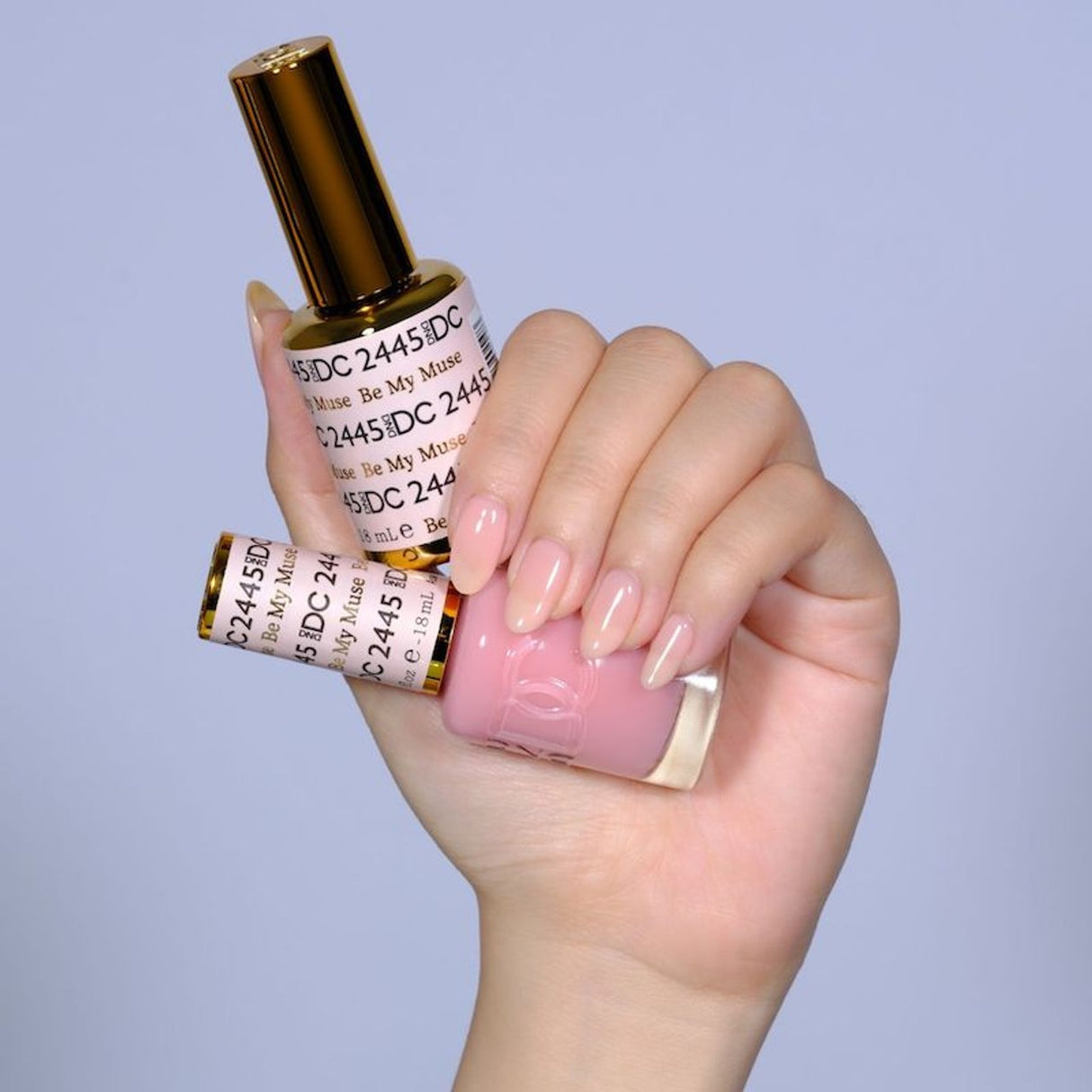 DND | DC 2445 BE MY MUSE