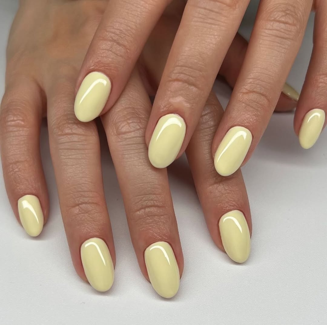 DND - DC 2515 Dainty Daisies