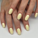 DND - DC 2515 Dainty Daisies