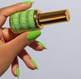 DND | DC 2521 QUANTUM LEAP