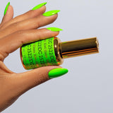 DND | DC 2522 KIWI KISSES