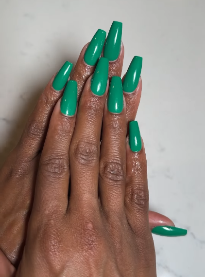 DND | DC 2525 ZEN OASIS