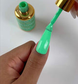 DND | DC 2537 PALM TREE