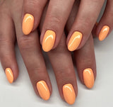 DND | DC 2538 MANDARIN GLOW