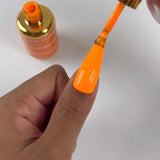 DND | DC 2539 CITRUS AFFAIRS