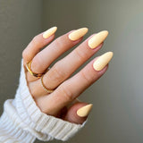 DND | DIVA 085
