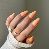 DND | DIVA 145