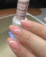 DND | 866 SOFT TULIPS