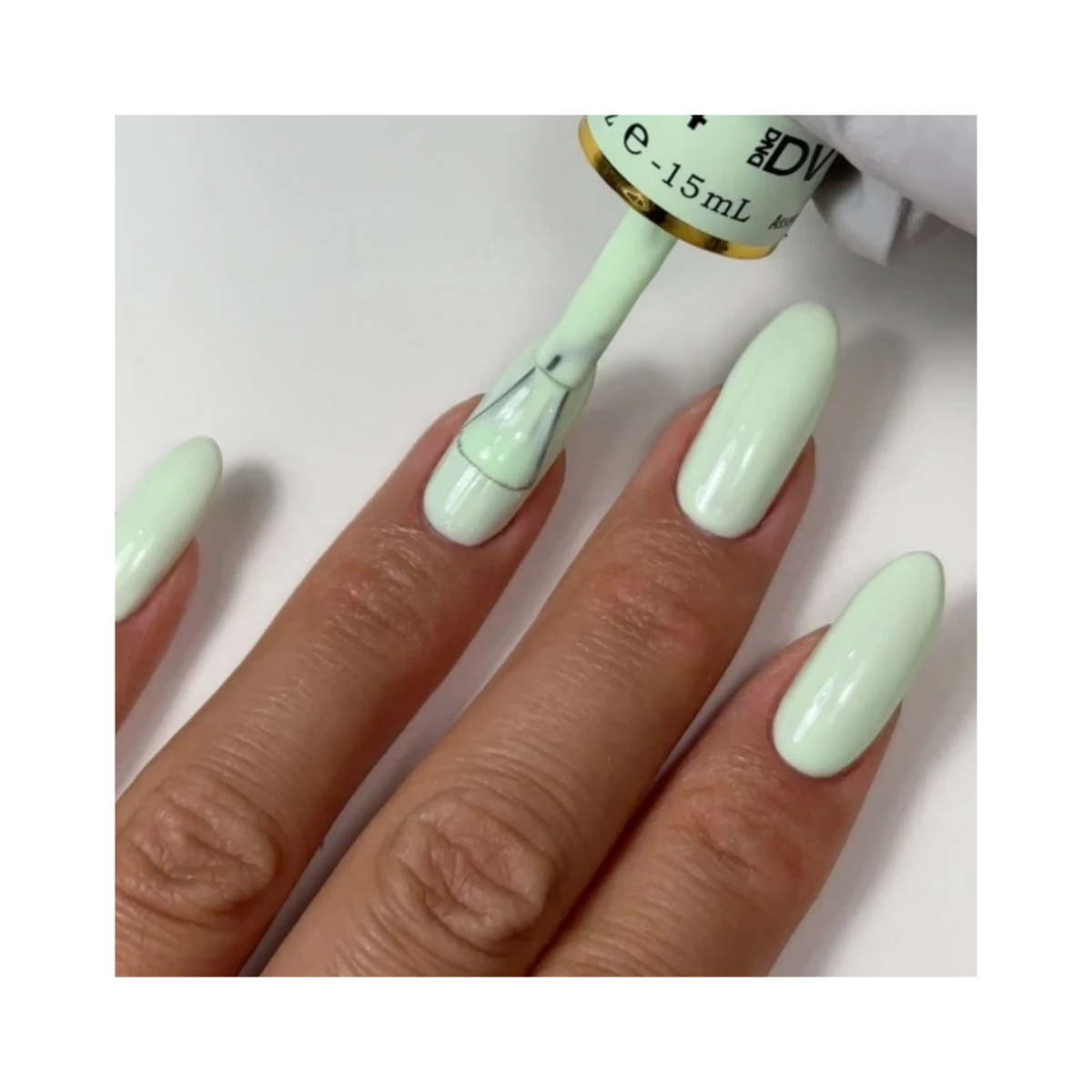 DND | DIVA 104