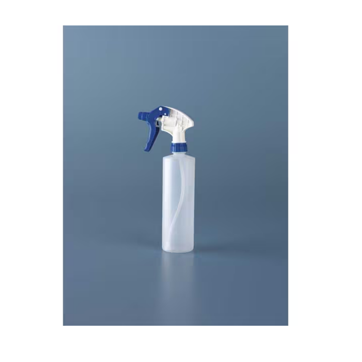 Empty Spray Bottle - 16 oz