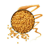 GIGI | ALL PURPOSE HARD WAX BEADS (14oz)