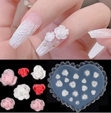 NAIL ART TOOL | 5D SILICON MOLD