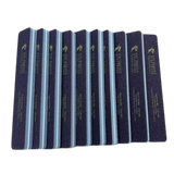 SYLPHKISS | 100/180 PREMIUM SANDING BUFFER