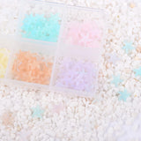 NAIL CHARM | STARFISH 6 COLORS